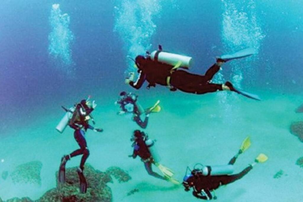 아라이알도카보 Caribe Brasileiro A 2 Passos Da Areia 아파트 외부 사진