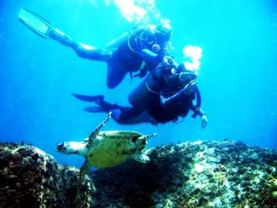 아라이알도카보 Caribe Brasileiro A 2 Passos Da Areia 아파트 외부 사진